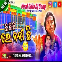 Chhi Chhi Chhi Re Nani-Viral Koraputia Dj Mix Song-Dj Shyam